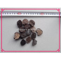 100% matured frozen truffles, natural tuber indicum